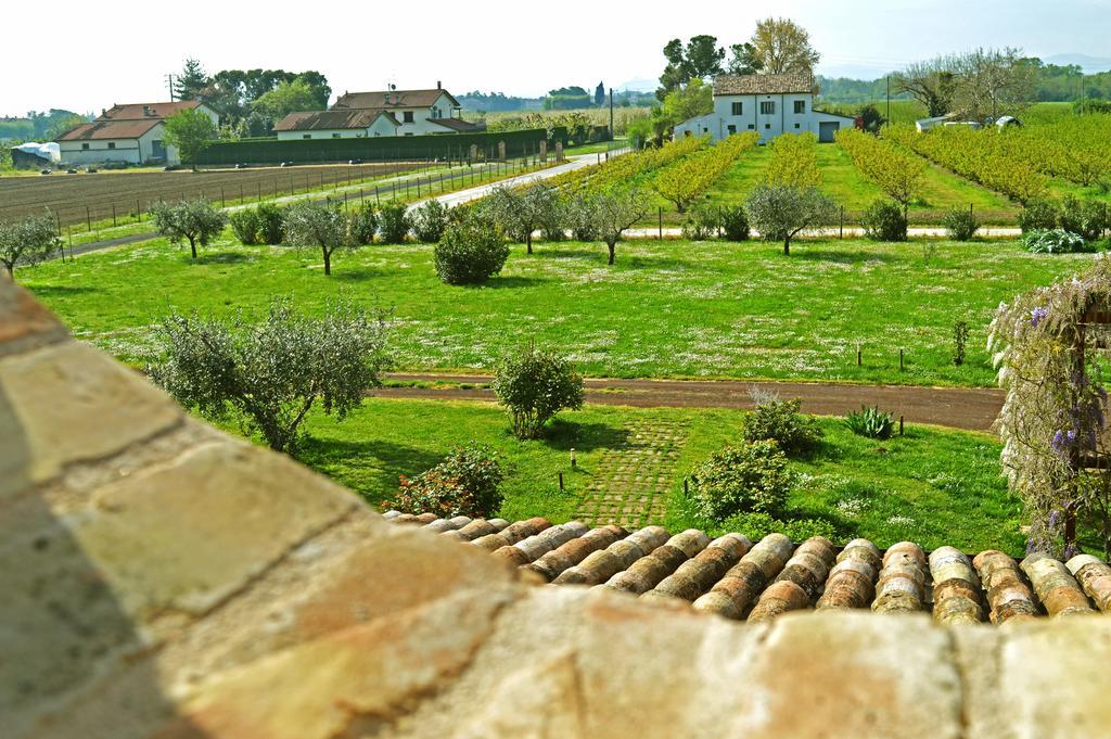 La Fornasaccia Bed and Breakfast Τσεζένα Εξωτερικό φωτογραφία
