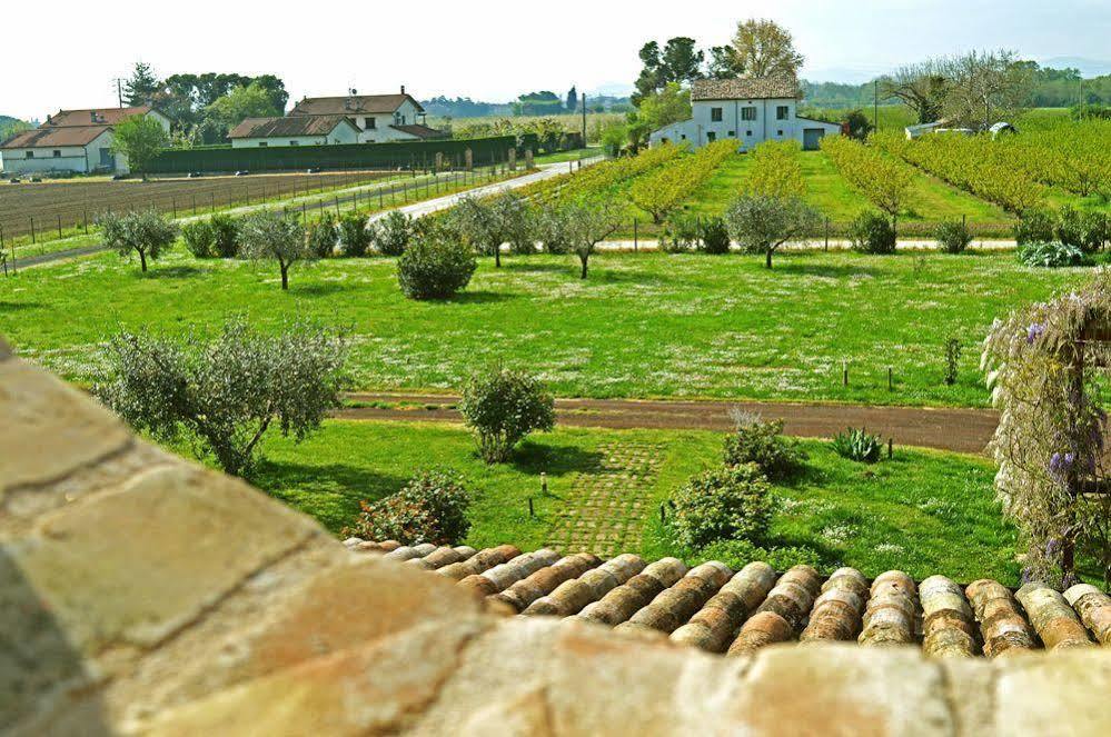 La Fornasaccia Bed and Breakfast Τσεζένα Εξωτερικό φωτογραφία