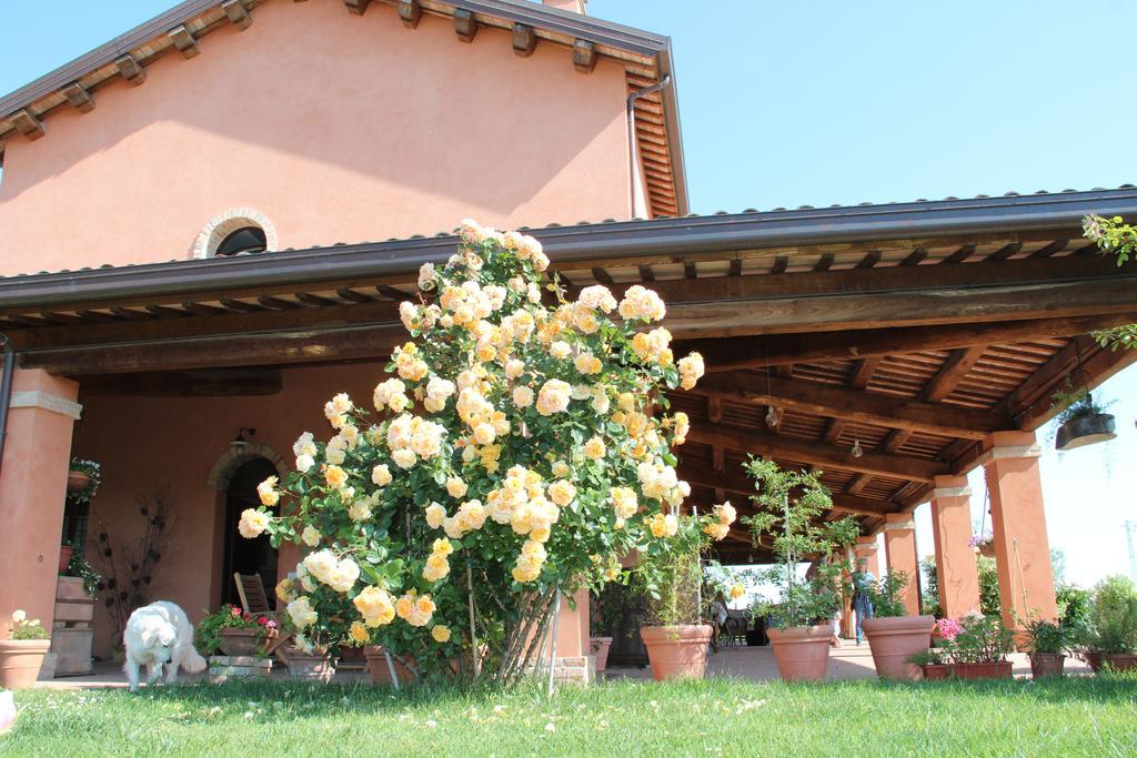 La Fornasaccia Bed and Breakfast Τσεζένα Εξωτερικό φωτογραφία